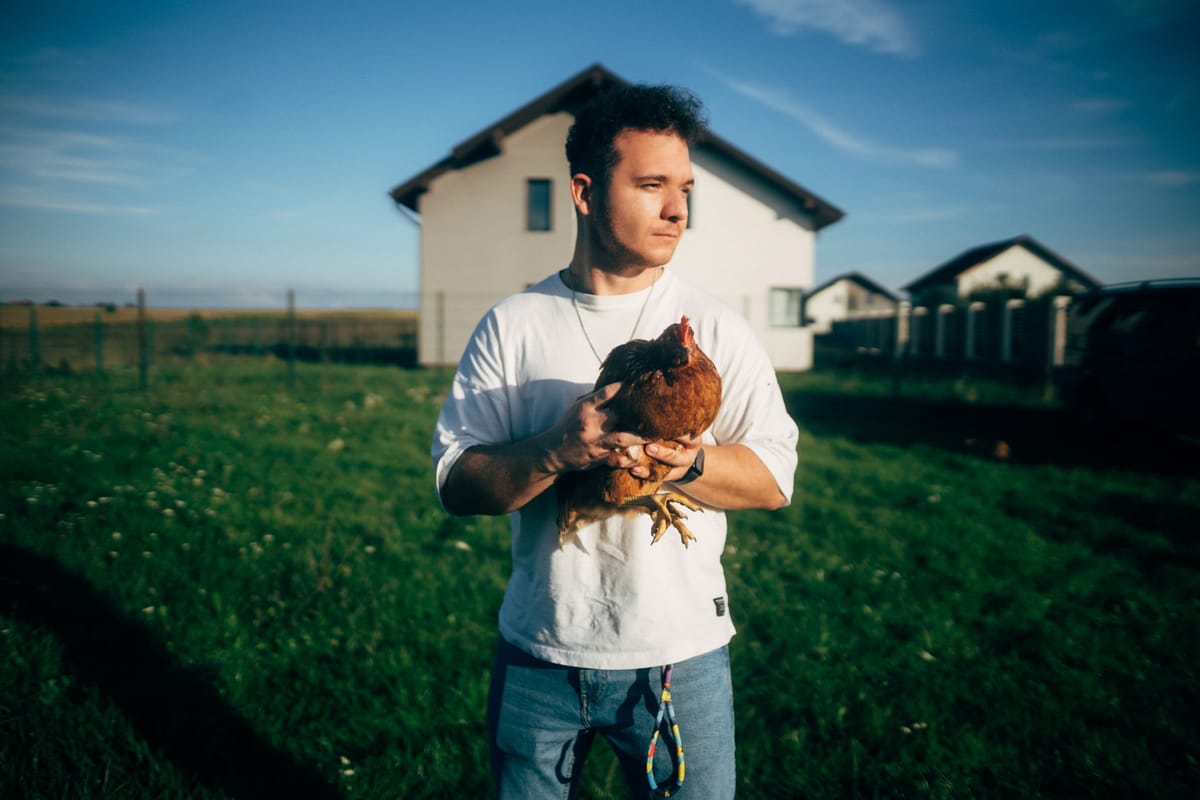 Care-i faza cu site-ul ăsta?