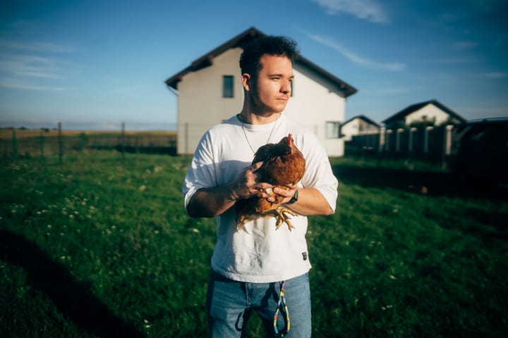 Care-i faza cu site-ul ăsta?